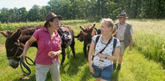 Eselwanderung kommunikativ Foto Rheinhessen Touristik