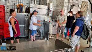 Verbraucherzentrale warnt vor bubble tea