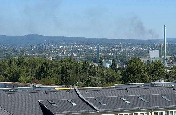 IMG 20220809 WA0079 e1660058124260 IMG 20220809 WA0079 e1660058124260