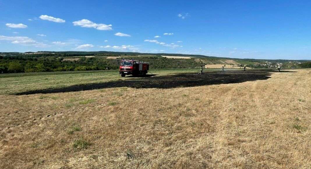 image0.jpeg e1659544989291