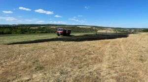 Feuerwehren bekämpfen flächenbrand zwischen waldböckelheim und bockenau Image0. Jpeg e1659544989291