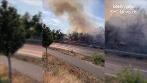 Flächenbrand in ingelheim und evakuierung von 1300 badegästen Maxresdefault