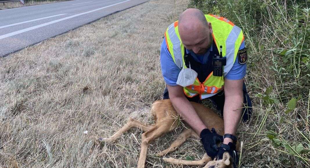 poMMes 2022 08 05 07 39 58 2 e1659780977629 poMMes 2022 08 05 07 39 58 2 e1659780977629