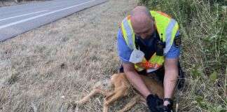 poMMes 2022 08 05 07 39 58 2 e1659780977629