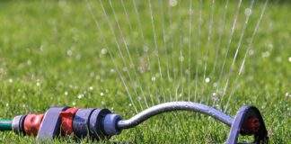 sprinkler 2366751 960 720