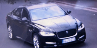 xy581 fall7 jaguar 100 768x432