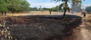 208 neue kita-plätze in rüsselsheim am main 208 neue kita-plätze in rüsselsheim am main