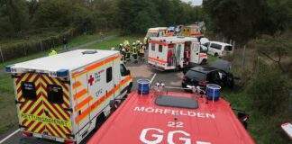 2022 164 002 e1664265553384