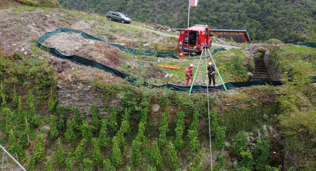 20220924 Traubenrettung Internet pressefrei2 scaled 20220924 Traubenrettung Internet pressefrei2 scaled