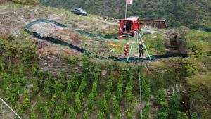 20220924 traubenrettung internet pressefrei2 scaled