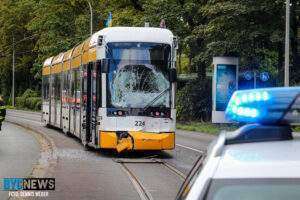 Die henkell freixenet-sektnacht mit live-musik in wiesbaden