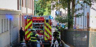 C38F79AA 4164 4D62 B556 B7324CB86D93 scaled