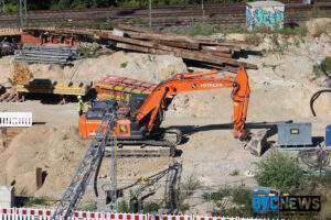 Attraktionen von wildparks über lama-trekking in der lüneburger heide