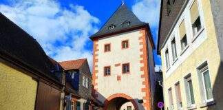 StadtOpp Gautor 1 scaled