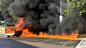 "heimat shoppen" - besondere aktionstage in der innenstadt von mainz