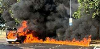 poMMes 2022 09 09 19 41 25 5 e1662786466814