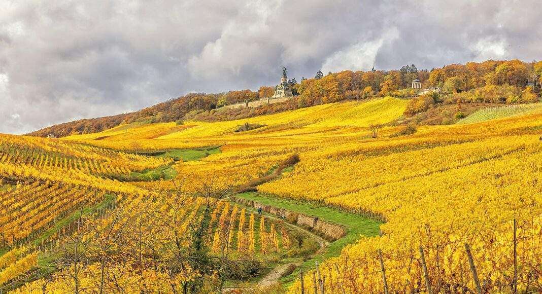 ruedwagelbweinberg ruedwagelbweinberg