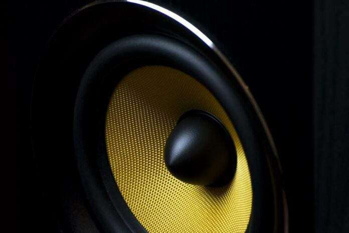 speaker 820005 960 720
