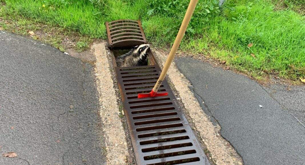 310400007 233521819005667 5221105199679226075 n e1664776740273 310400007 233521819005667 5221105199679226075 n e1664776740273