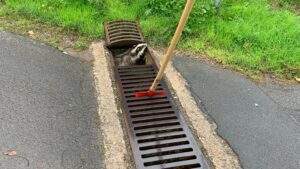 310400007 233521819005667 5221105199679226075 n e1664776740273