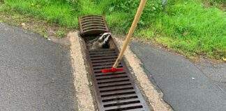 310400007 233521819005667 5221105199679226075 n e1664776740273