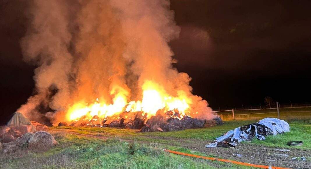 311497143 418081567184053 6796989223833841132 n e1666506332922