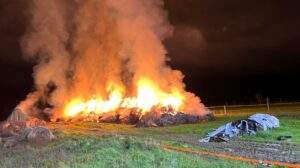 Fahndung: raubüberfall mit schusswaffe und schlagstock bei büttelborn Fahndung: raubüberfall mit schusswaffe und schlagstock bei büttelborn