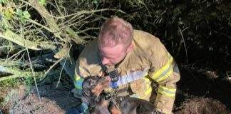 311901353 209504341431930 2108173728011271076 n e1666090179360