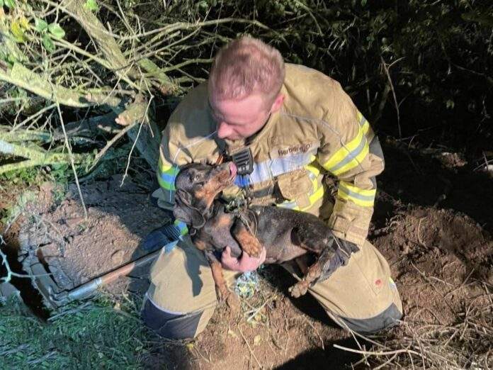 311901353 209504341431930 2108173728011271076 n e1666090179360 311901353 209504341431930 2108173728011271076 n e1666090179360