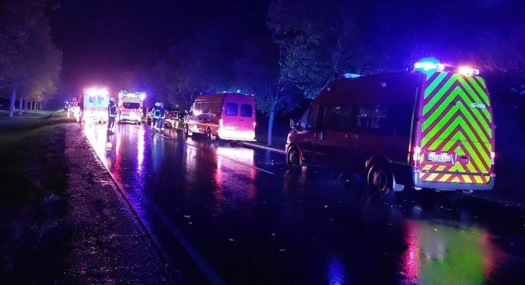 312496807 416865397310706 406822754130366959 n e1666606707345