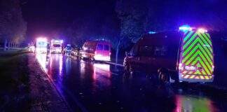 312496807 416865397310706 406822754130366959 n e1666606707345