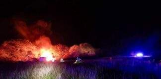 FB IMG 1666768680761