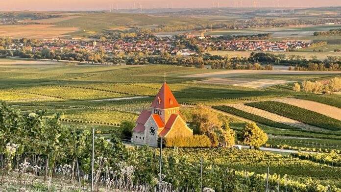 IMG 4745 scaled e1665056594889 IMG 4745 scaled e1665056594889