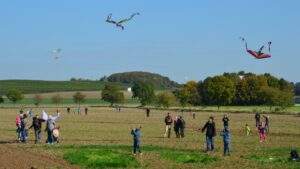 Die schönsten wanderwege im rheingau