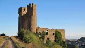 Belohnung ausgesetzt: wer kennt die verbrannte frauenleiche aus dem kreis mainz-bingen? 1