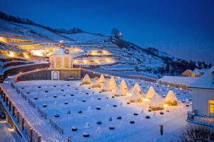 Die geschichte des glühweins - verschollen und wiederentdeckt P 70870bild1foto djdschloss wackerbarthrene jungnickel scaled