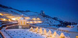 p 70870bild1Foto djdSchloss WackerbarthRene Jungnickel scaled