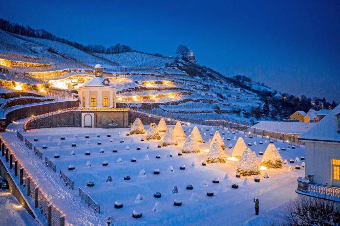 p 70870bild1Foto djdSchloss WackerbarthRene Jungnickel scaled p 70870bild1Foto djdSchloss WackerbarthRene Jungnickel scaled