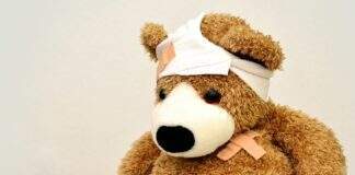 teddy 562960 960 720