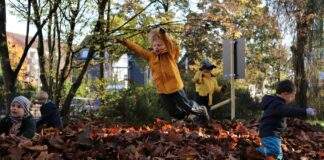 03 Laubspielplatz scaled