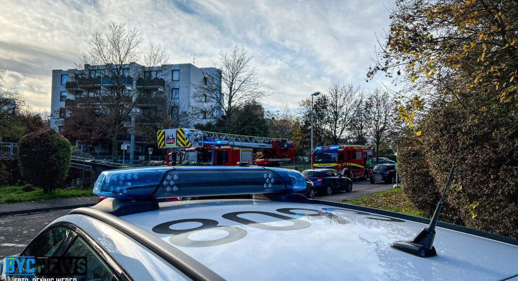 11D640A1 8613 4A1B 9282 7EFDEBD7570A scaled