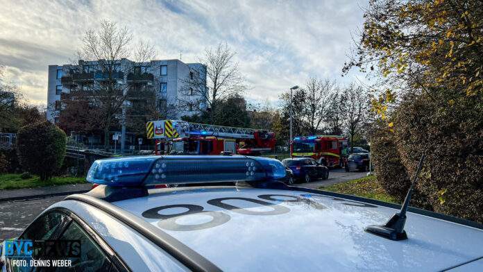 11D640A1 8613 4A1B 9282 7EFDEBD7570A scaled 11D640A1 8613 4A1B 9282 7EFDEBD7570A scaled