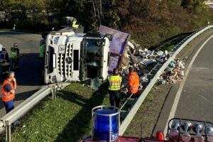 313874687 1808463576190454 5876255980516244618 n e1667465119387