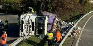 313874687 1808463576190454 5876255980516244618 n e1667465119387