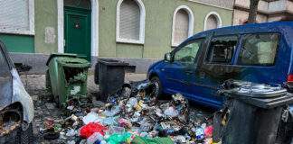 AF090A8A 83DA 4331 9C4E A2C04608361D scaled