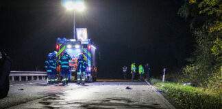 C666C03A E7D5 46FF 81BC 6C66EB45B59E scaled