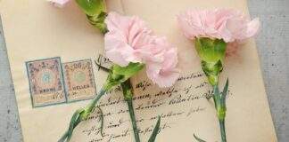 letter gfdfb844f3 1920 e1669654137814