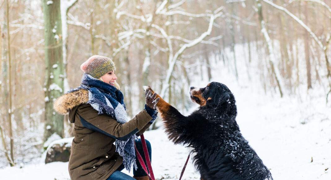 p 70535bild1Foto djdAgilaKzenon stockadobecom scaled