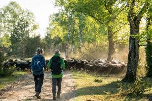 P 71507bild1foto djdbispingen touristikdominik ketz