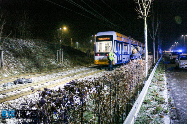 29DFC353 BF08 41CF 9FD3 69A01AE77077 scaled